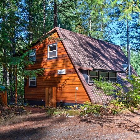 Serene Washington Escape With Deck And Mountain Views! Packwood Ngoại thất bức ảnh