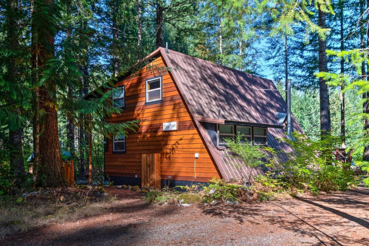 Serene Washington Escape With Deck And Mountain Views! Packwood Ngoại thất bức ảnh