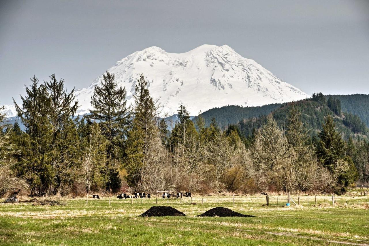 Serene Washington Escape With Deck And Mountain Views! Packwood Ngoại thất bức ảnh